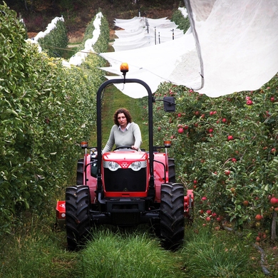 MASSEY FERGUSON 3625